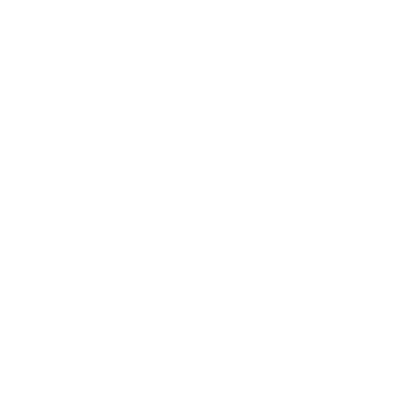 bag_icon