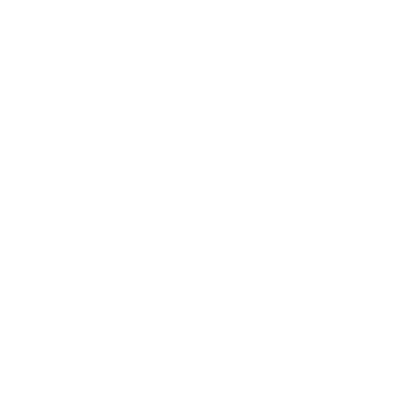 shoe_icon